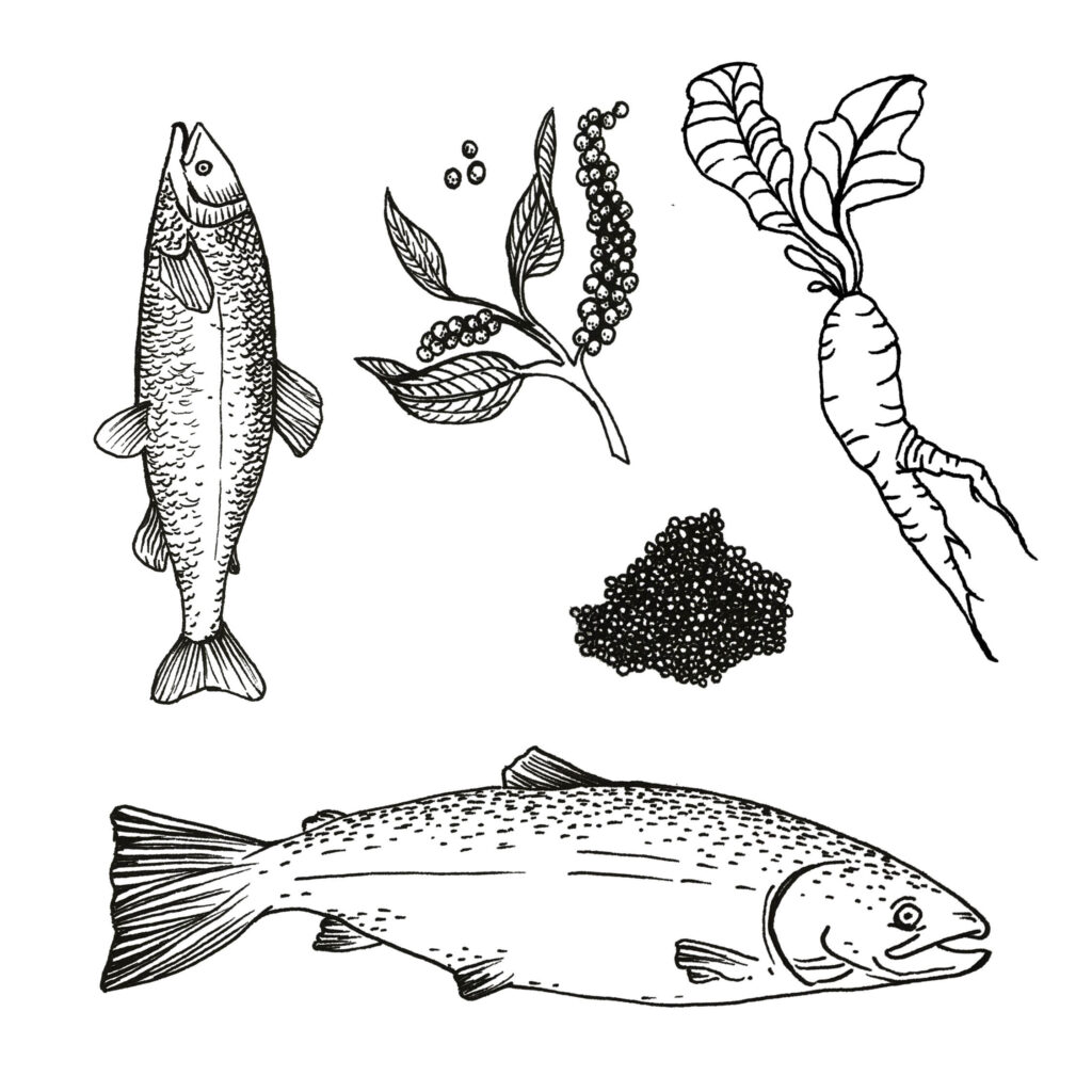 Illustrerade fiskar