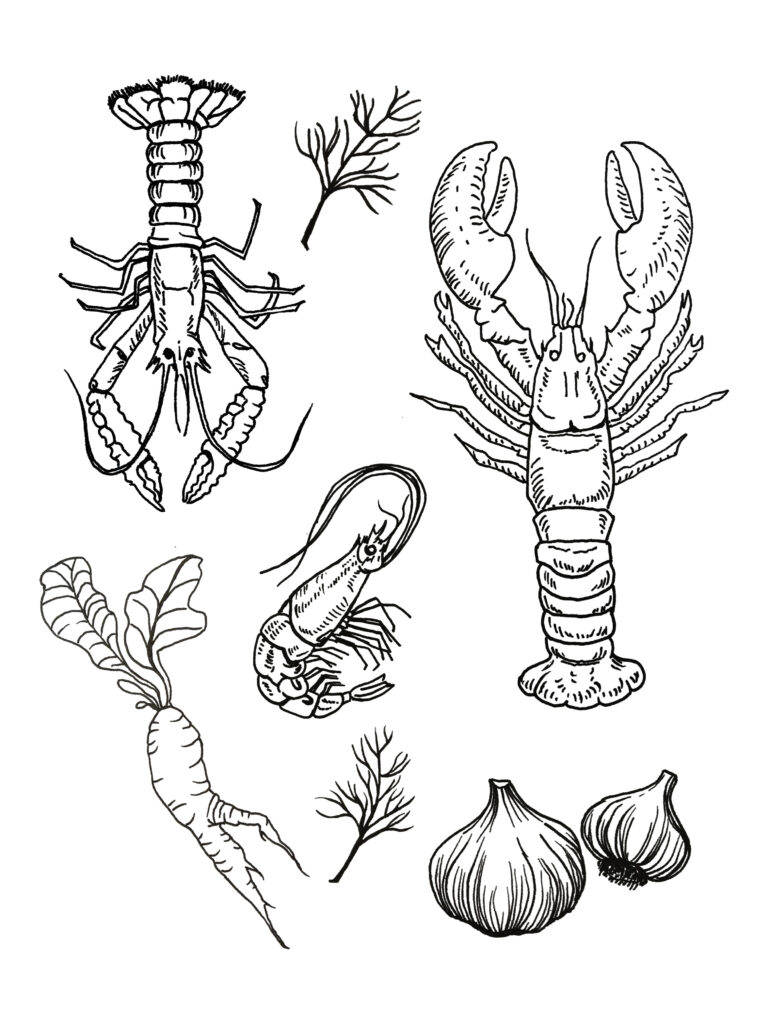 illustrationer av skaldjur