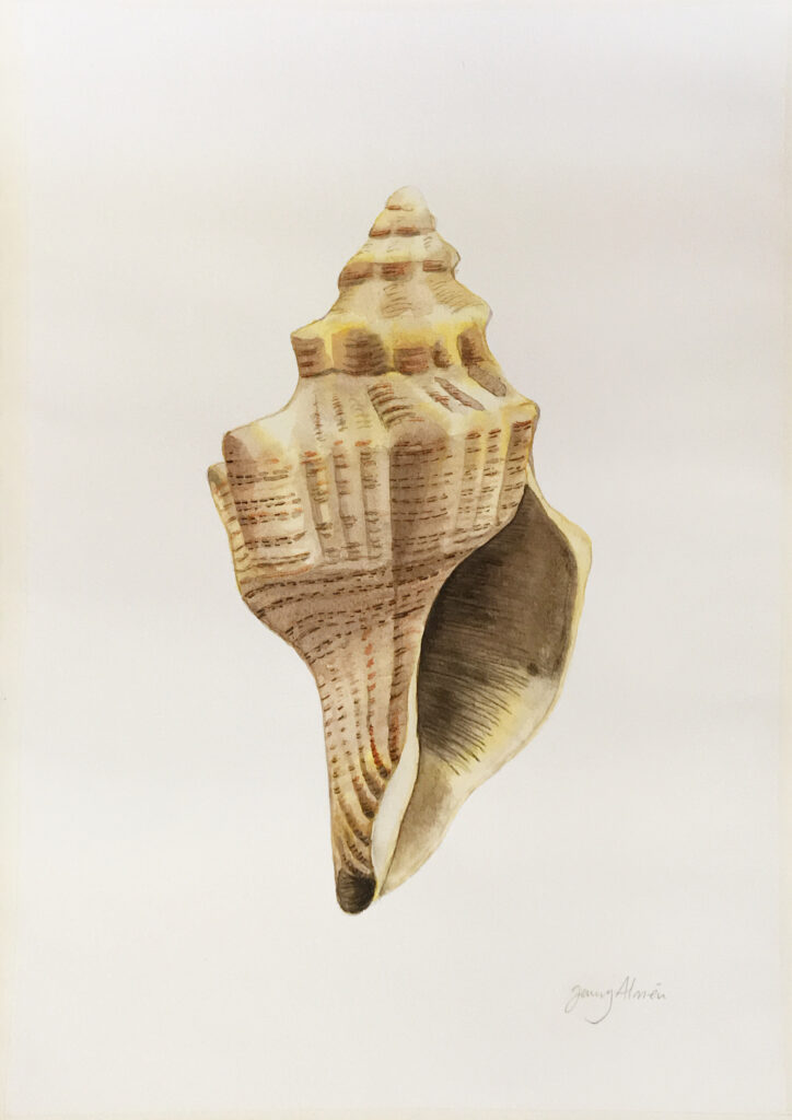 shell